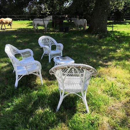 Orsennes La Marquise Penchee B&B 외부 사진